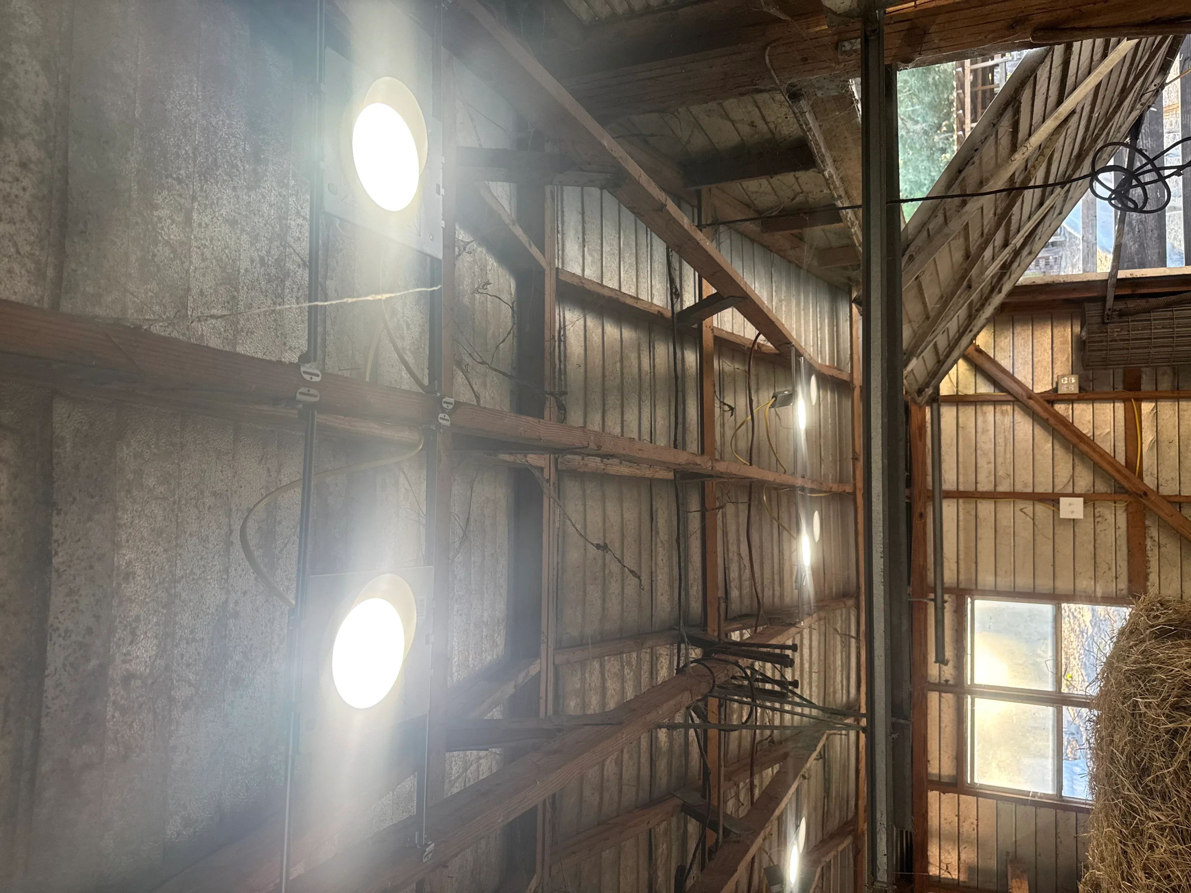 LED barn lighting fixtures mounted on concrete and wood beams with electrical wiring